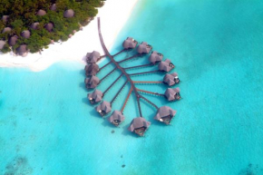 Coco Palm Dhuni Kolhu - 20 percent off roundtrip Seaplane for stays from 1 May to 30 September 2025